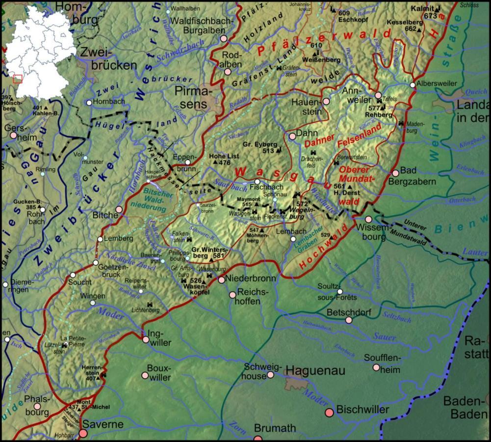 Fewo Pfaelzer Felsenlandschaft Pirmasens Luaran gambar